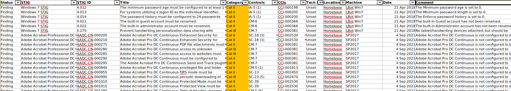 Individual findings report example